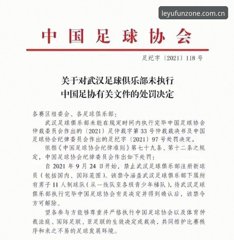 乐鱼安卓下载 中国足协第三批禁足名单全面解析:65人受罚背后的行业乱象深度调查